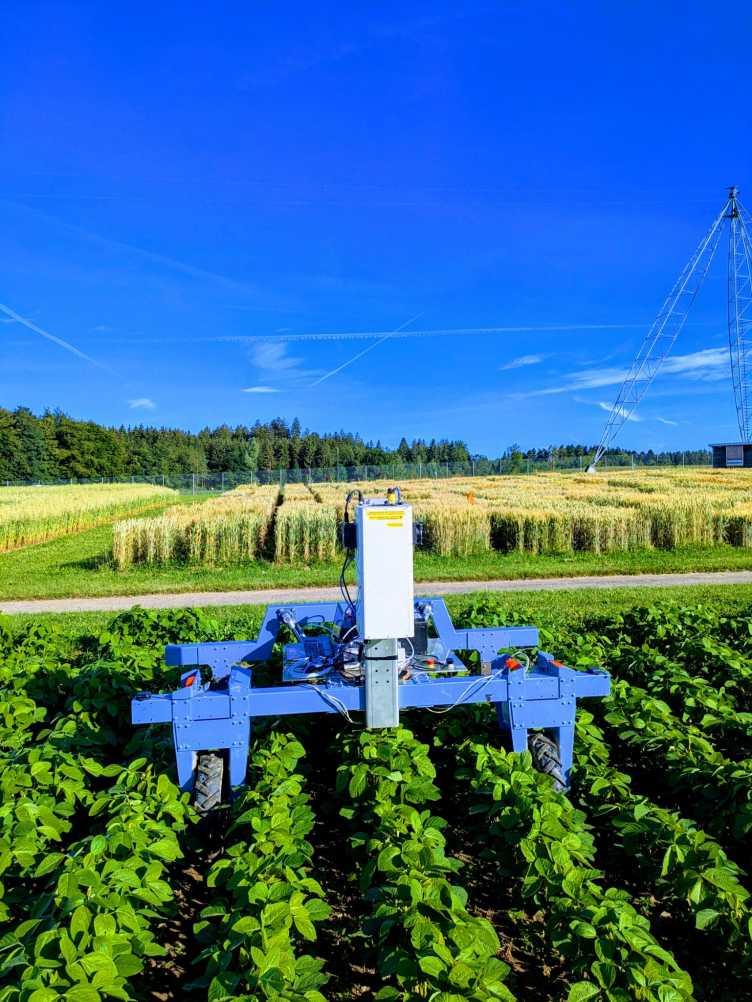 The light-induced fluorescence transient (LIFT; Forschungszentrum Jülich) device to measure photosynthesis is mounted to the caterra robot (https://caterra.org/).